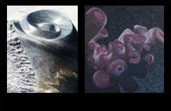 Sculptures Painting Art