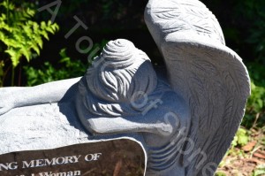 Angel wings Angel Wings